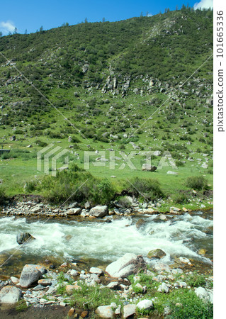 mountain river flows in forest under bias 101665336