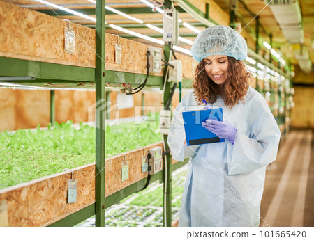 Smiling female gardener standing by shelf with green leafy plants and writing on clipboard. Cheerful woman agricultural scientist studying plant growth and taking notes in greenhouse. 101665420