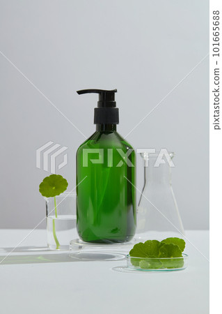 Cosmetics mockup with green bottle without label on transparent podium, gotu kola leaves decorated on beaker and petri dish on white background. Scene for advertising product of gotu kola extract. 101665688
