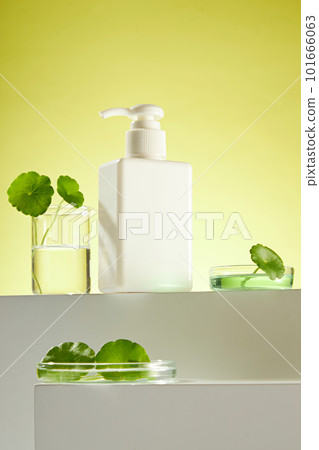 White plastic tube with facial moisturizer cream or facial cleanser on white podium, gotu kola leaves on beaker and petri dish on yellow background. Mockup for cosmetic of gotu kola extract. 101666063