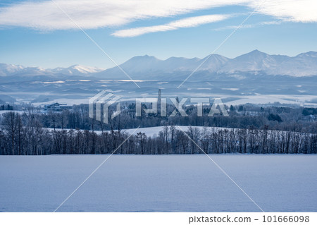 Hokkaido, Biei, Kamifurano, larch trees, winter, snow, Christmas trees, roller coaster road, trees Hokkaido, Biei, Kamifurano, larch trees, winter, snow, Christmas trees, roller coaster road, trees 101666098