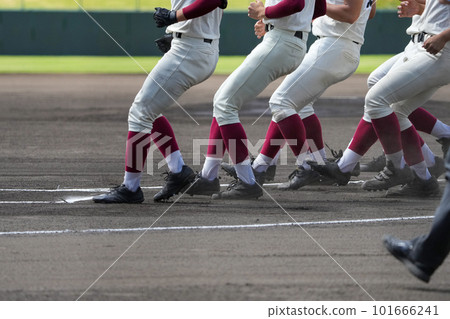 兩支球隊的球員在一場棒球比賽中排隊並互相問候 101666241