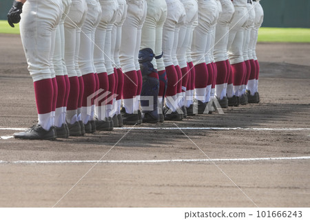 兩支球隊的球員在一場棒球比賽中排隊並互相問候 101666243