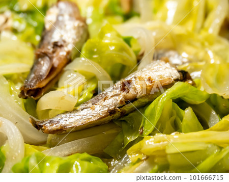 Close-up of stir-fried spring cabbage and oil sardines (sardines pickled in oil). Close-up of stir-fried spring cabbage and oil sardines (sardines pickled in oil). 101666715
