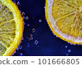 Close-Up of Sliced Lemon: Bright and Refreshing Citrus Fruit Close-Up of Sliced Lemon: Bright and Refreshing Citrus Fruit 101666805