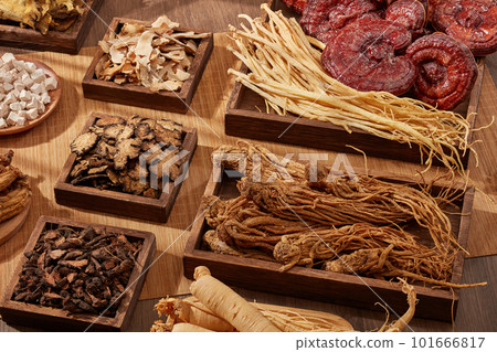 A variety of herbs are displayed on wooden trays in square and rectangle shape. Traditional chinese medicine is very precious and used to prevent or treat health problems 101666817