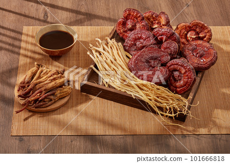 Dangshen and lingzhi mushroom placed on a square wooden tray with a dish of Red ginseng and a bowl of medicine. For medicine advertising, photography traditional medicine content Dangshen and lingzhi mushroom placed on a square wooden tray with a dish of Red ginseng and a bowl of medicine. For medicine advertising, photography traditional medicine content 101666818