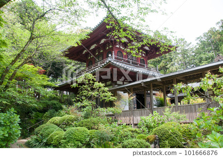 龍潭寺 龍潭寺 101666876