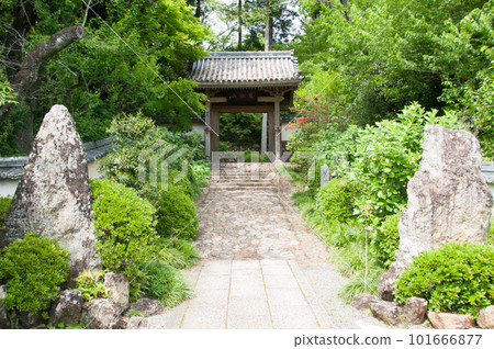 Ryutanji Temple 101666877