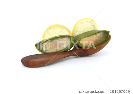 Aloe Vera in wooden spoon and lemon slices on white background Aloe Vera in wooden spoon and lemon slices on white background 101667069