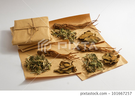 Angelica root, Chinese motherwort and Rhubarb root and rhizome displayed on papers. Traditional medicine to reduce inflammation and boost immunity. 101667257