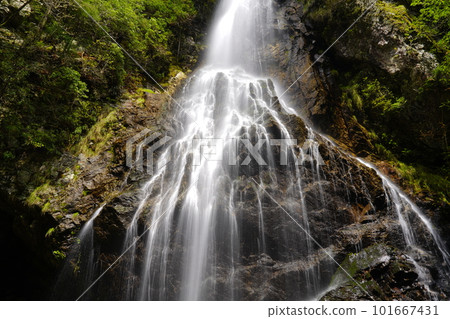 Hiryuotoshi Waterfall shines in the fresh greenery 101667431