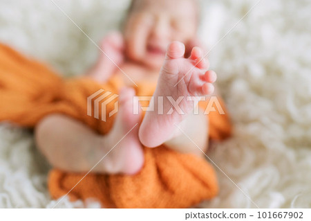 baby's little feet baby's little feet 101667902