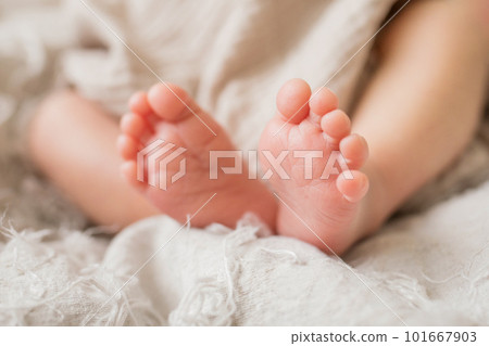 baby's little feet baby's little feet 101667903