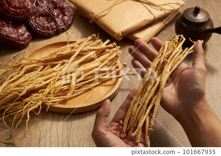 Hand model holding Dangshen with a wooden dish of Dangshen, lingzhi mushroom and earthen pot as background. Herbs good for health and very important in traditional medicine Hand model holding Dangshen with a wooden dish of Dangshen, lingzhi mushroom and earthen pot as background. Herbs good for health and very important in traditional medicine 101667935