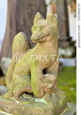 Kawaguchi Stroll: Jisso-ji Temple Nichiren Buddhism precinct shrine Komagitsune Iwainari Daimyojin Kawaguchi City Ryoke 101668219