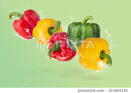 Creative layout made from water splashing on a yellow Bell Pepper, Green Bell Pepper and Red Bell pepper on a Green background 101669195