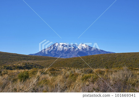 View of Mount Ruapehu View of Mount Ruapehu 101669341