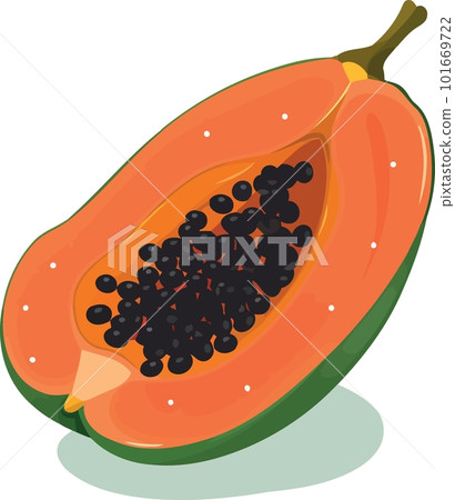 papaya fruit cut in half 101669722