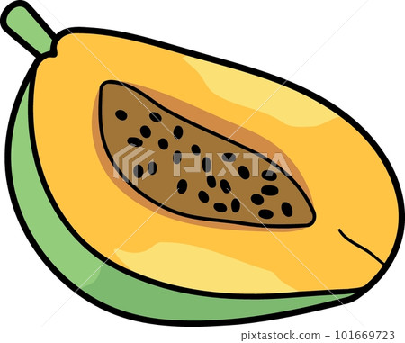 papaya fruit cut in half 101669723