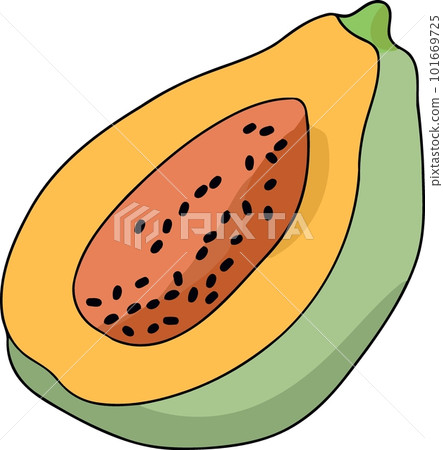 papaya fruit cut in half papaya fruit cut in half 101669725
