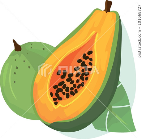 papaya fruit cut in half 101669727