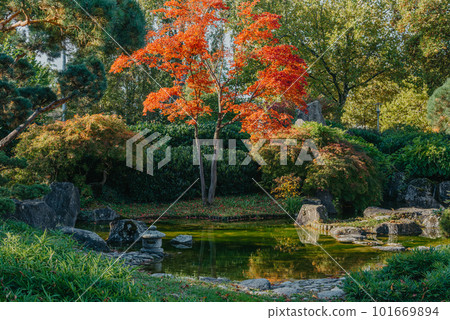 Beautiful calm scene in spring Japanese garden. Japan autumn image. Beautiful Japanese garden with a pond and red leaves. Pond in a Japanese garden. Beautiful calm scene in spring Japanese garden. Japan autumn image. Beautiful Japanese garden with a pond and red leaves. Pond in a Japanese garden. 101669894