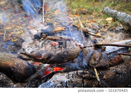 Exclusive food game bird on a spit Exclusive food game bird on a spit 101670485