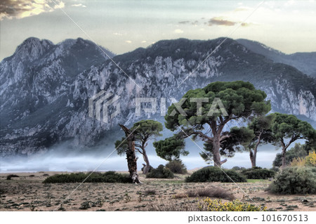 The Mediterranean. Pirate Skeleton coast in romantic colours The Mediterranean. Pirate Skeleton coast in romantic colours 101670513