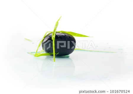 stone in green grass isolated stone in green grass isolated 101670524