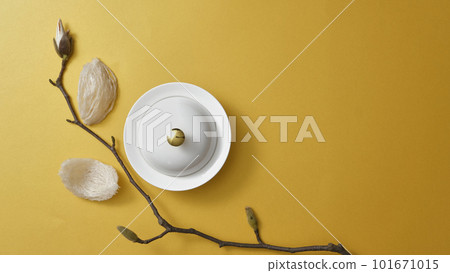 Edible bird nest decorated with a flower branch and porcelain cloche placed on a white dish. Blank space for product advertisement. Bird nest has anti-aging benefits, good for skin Edible bird nest decorated with a flower branch and porcelain cloche placed on a white dish. Blank space for product advertisement. Bird nest has anti-aging benefits, good for skin 101671015