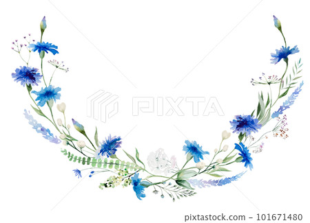 Watercolor blue cornflower wreath, summer wedding and greeting isolated illustration with wildflowers 101671480