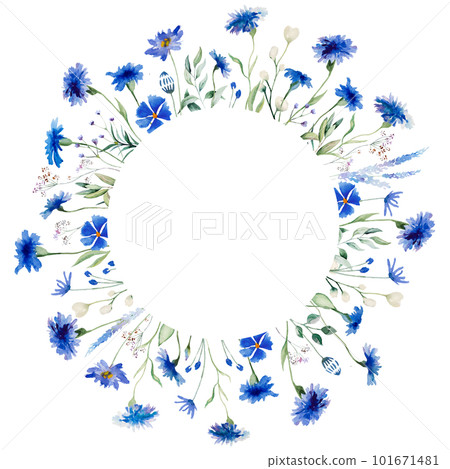 Watercolor blue cornflowers and wildflowers round frame, summer wedding isolated illustration 101671481