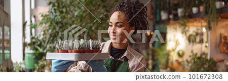 Professional woman florist takes care of seedlings in floral studio. Gardening concept Professional woman florist takes care of seedlings in floral studio. Gardening concept 101672308