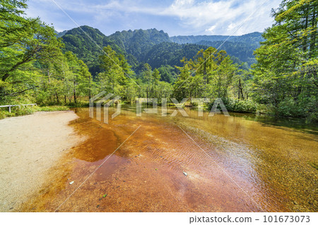 夏季的上高地 田代池 美麗的新綠植物 [長野縣松本市] 101673073
