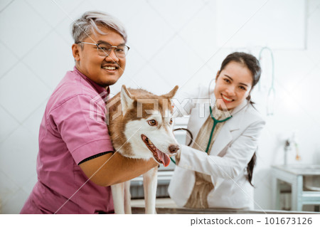 a male vet holding the siberian dog a male vet holding the siberian dog 101673126