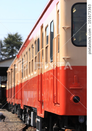 Mizushima Rinkai Railway Kiha 30 series and 20 series diesel trains showing a beautiful glow under the fine weather (at the photo session)_Photographed on March 19, 2023 101673363