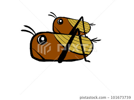 Side view of two male and female crickets 101673739