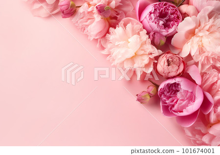 Peonies, roses on pink background with copy space. Abstract natural floral frame layout with text space. Romantic feminine composition. Wedding invitation. International Women day, Mother Day concept Peonies, roses on pink background with copy space. Abstract natural floral frame layout with text space. Romantic feminine composition. Wedding invitation. International Women day, Mother Day concept 101674001
