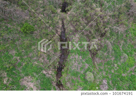 Spring water and moss 101674191