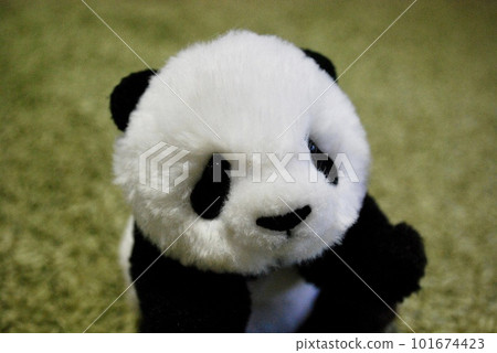 觸摸可愛的熊貓 觸摸可愛的熊貓 101674423