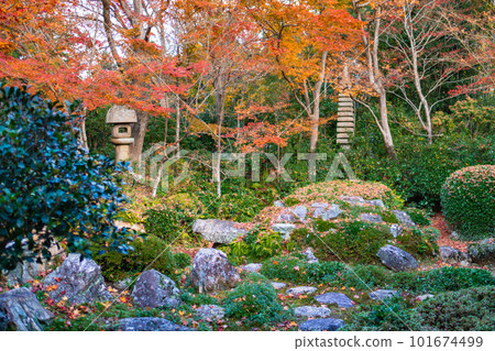 京都北山 Genkoan 的秋葉從書房看幹景 京都北山 Genkoan 的秋葉從書房看幹景 101674499
