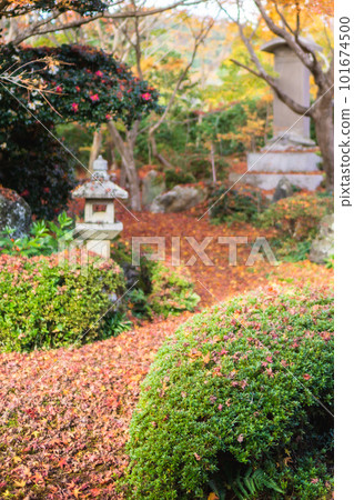京都北山 Genkoan 的秋葉從書房看幹景 101674500