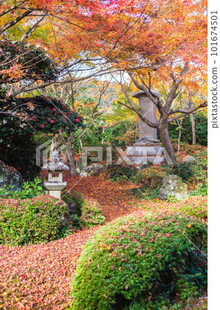 京都北山 Genkoan 的秋葉從書房看幹景 101674501