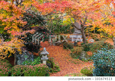 京都北山 Genkoan 的秋葉從書房看幹景 京都北山 Genkoan 的秋葉從書房看幹景 101674513