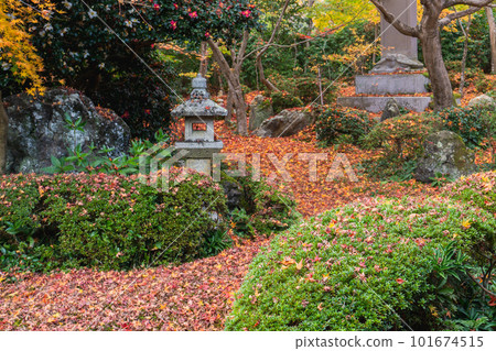 京都北山 Genkoan 的秋葉從書房看幹景 101674515