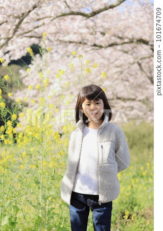 Female elementary school student (8 years old) and cherry blossoms and rape blossoms 101674709