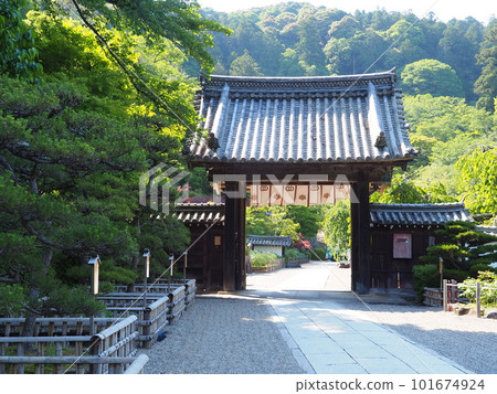 Inside the precincts of Hasederaji 101674924