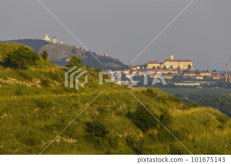 Mikulov castle and vineyard, Southern Moravia, Czech Republic 101675143