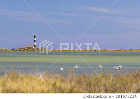 lighthouse Faraman, Salin de Giraud, Provence-Alpes-Cote d'Azur, France lighthouse Faraman, Salin de Giraud, Provence-Alpes-Cote d'Azur, France 101675214